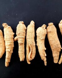 Nhân sâm Mỹ củ khô A2