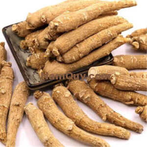 Nhân sâm Mỹ củ khô A1