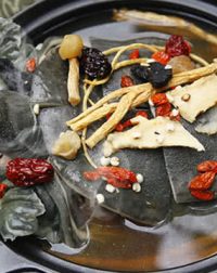 Lẩu ba ba thuốc bắc