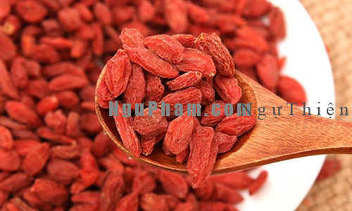 Câu kỷ tử thượng phẩm - Ảnh 2