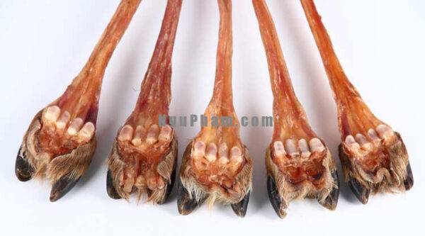 gan nai Gân nai khô loại A1