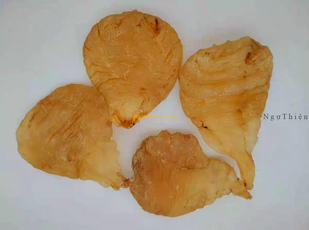 Bóng cá đường